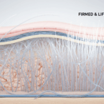 The Ultimate Guide to Treating Sagging Skin (For Men and Women) 8 A conceptual image showing the lifting and firming of skin layers, representing the science of treating sagging skin.
